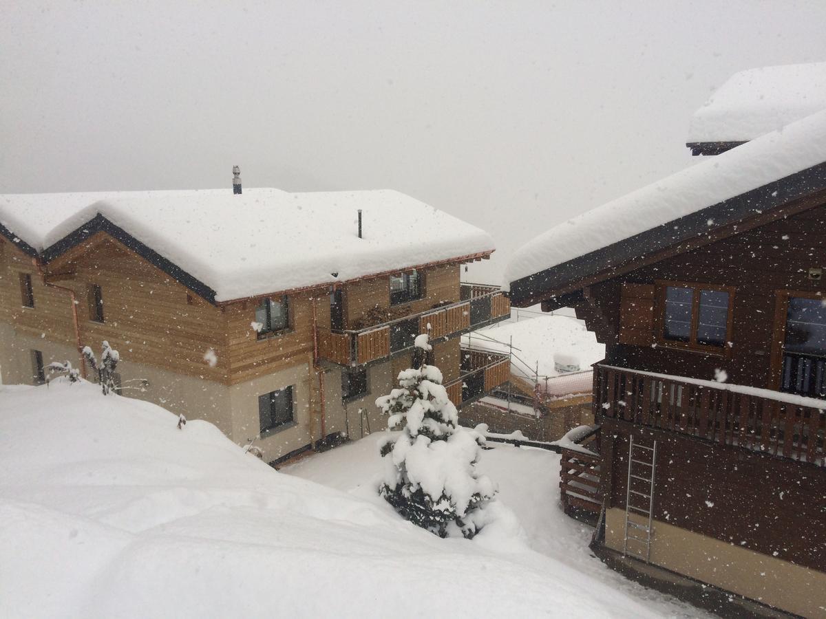 Chalet La Cordee 贝特默阿尔卑 外观 照片